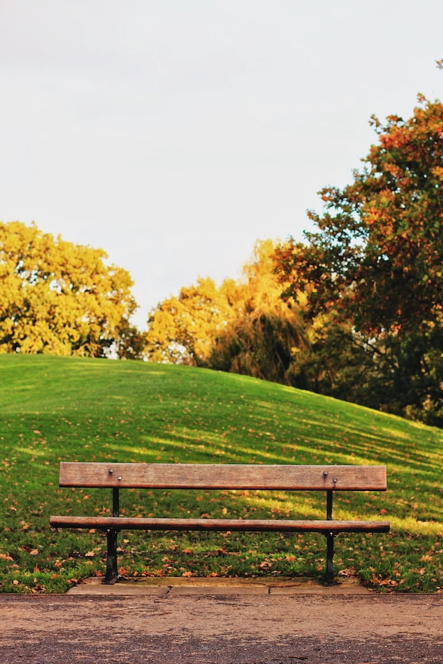 The plural of bench is benches