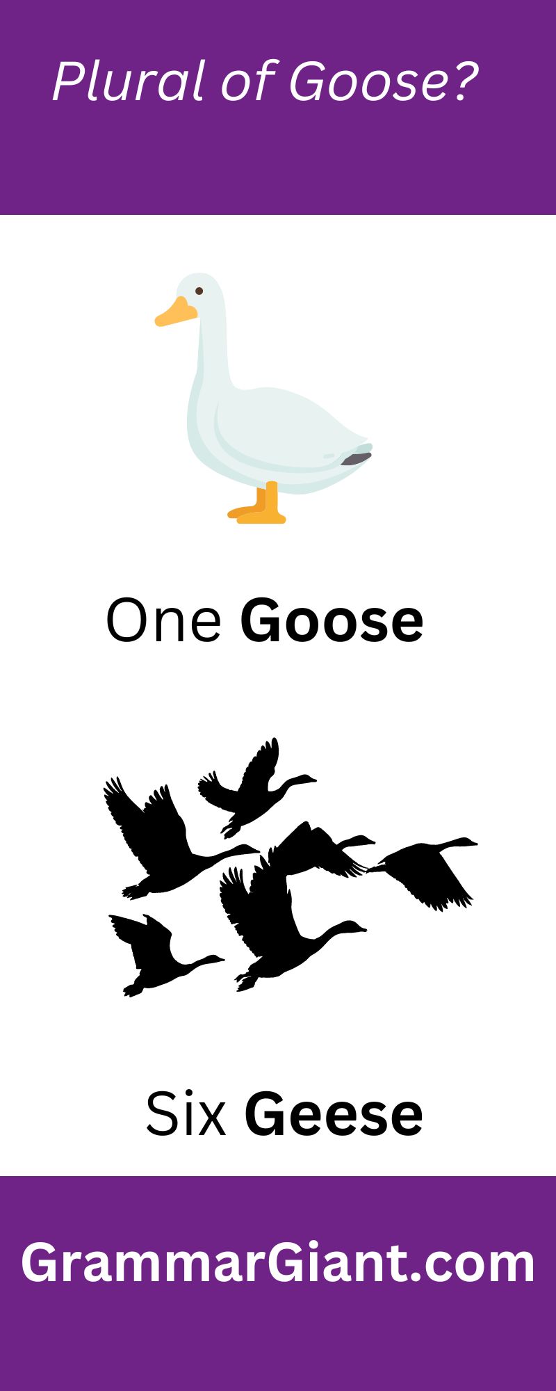 Plural of goose