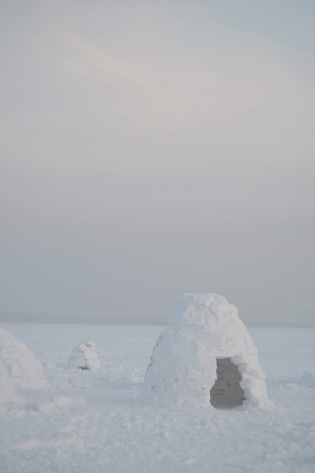 The plural of igloo is igloos