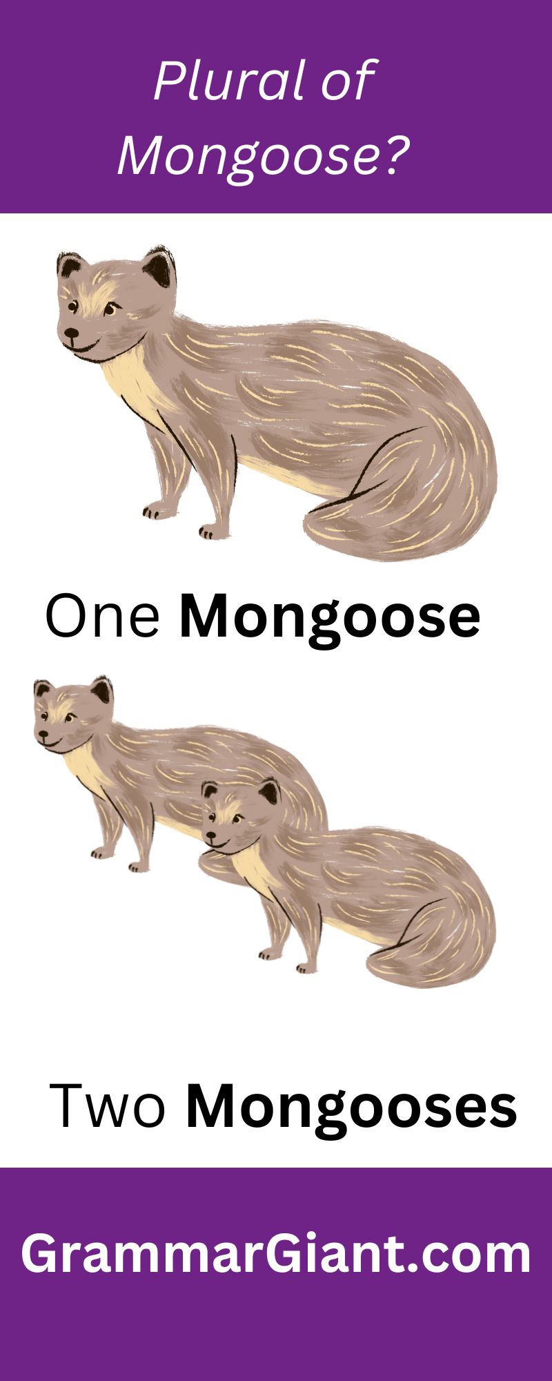 Plural of mongoose